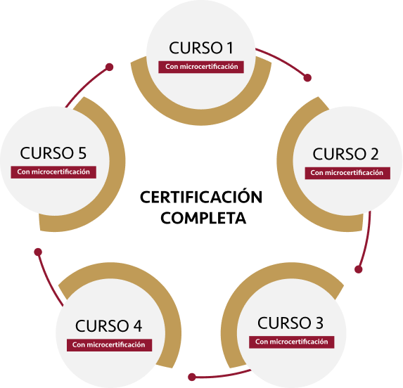 encapsulados-educacion-continua-esquema-certificaciones