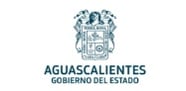 programas-in-company-up-mx-Aguascalientes