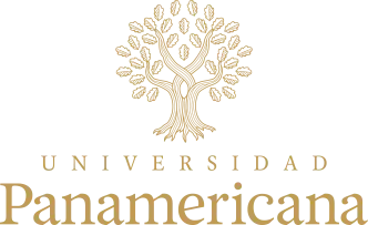 Logo panamericana